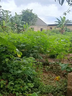 600sqms at Mbak Etoi, Uyo