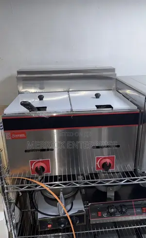 Gas Deep Fryer 10x2