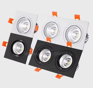 Double Spot Light