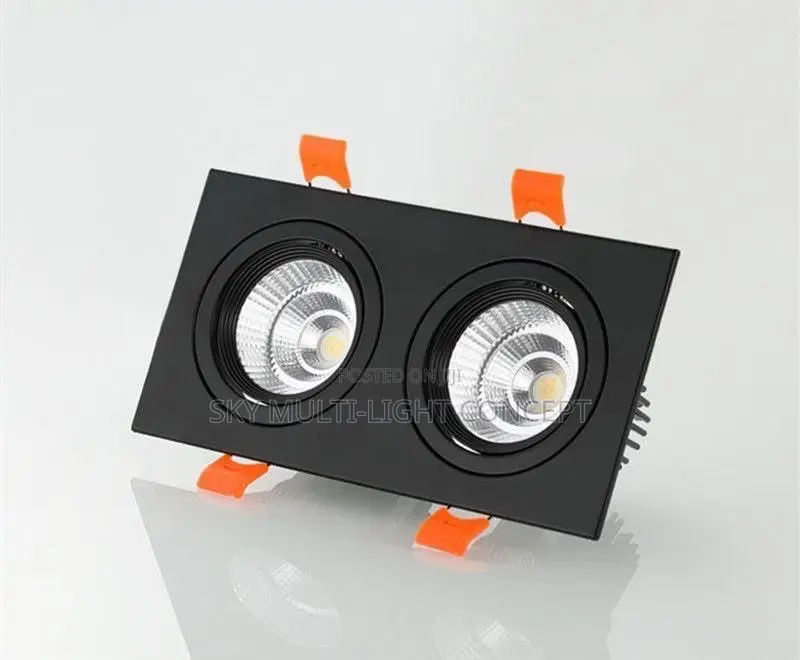 Double Spot Light