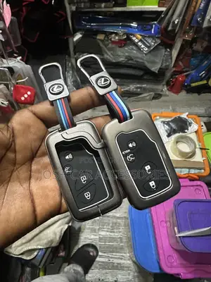 RX 350 Key Cover 2010