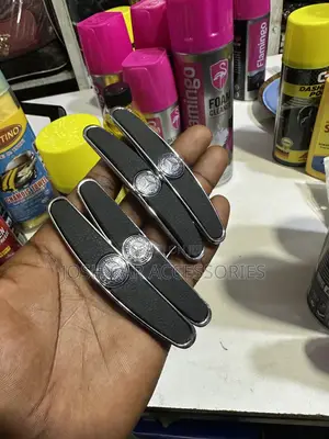 Mercedes Benz Door Guard