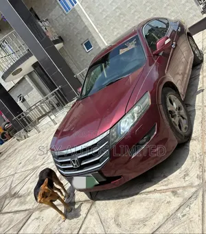 Honda Accord Crosstour EX-L AWD 2011 Burgundy