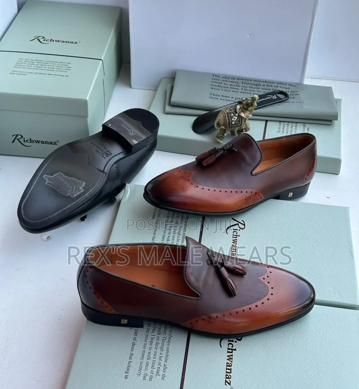 Richwanaz Classic Shoes