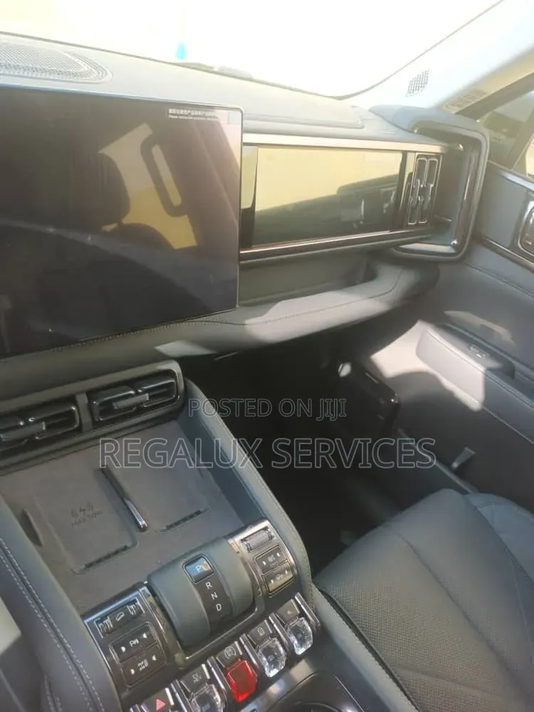 New BYD Leopard 5 2025 Gray