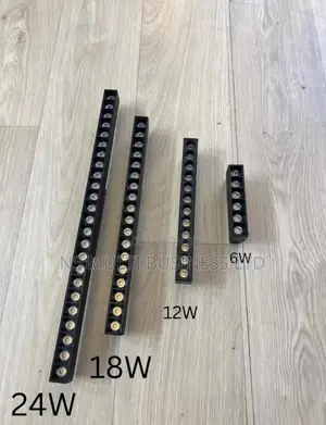 Magnetic Track Light
