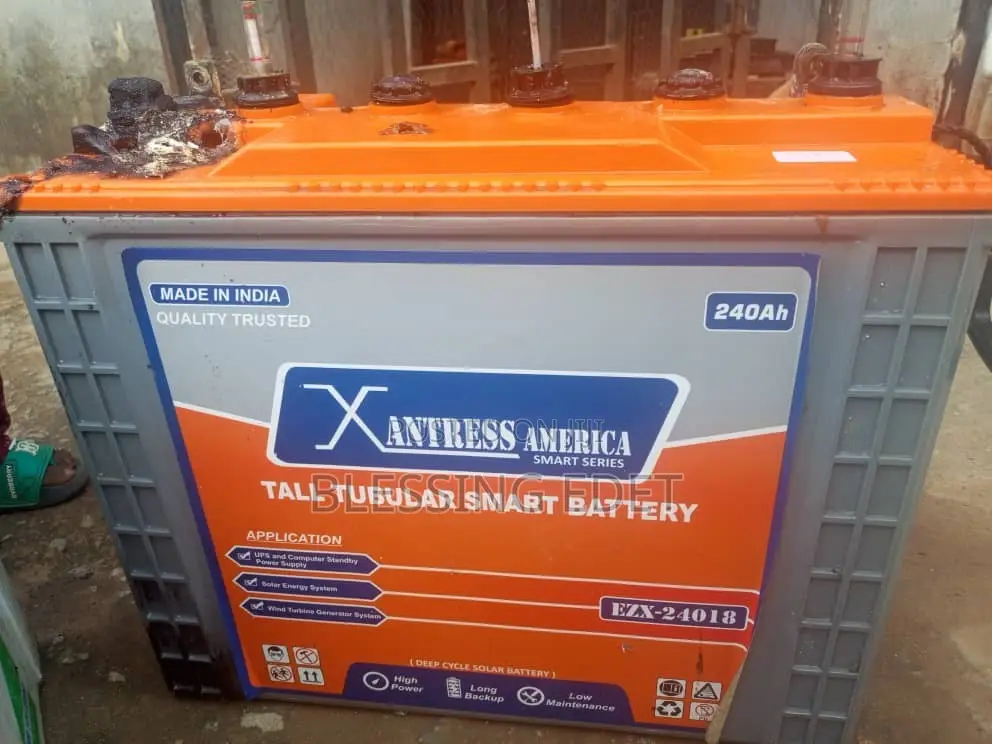 Inverter Battery