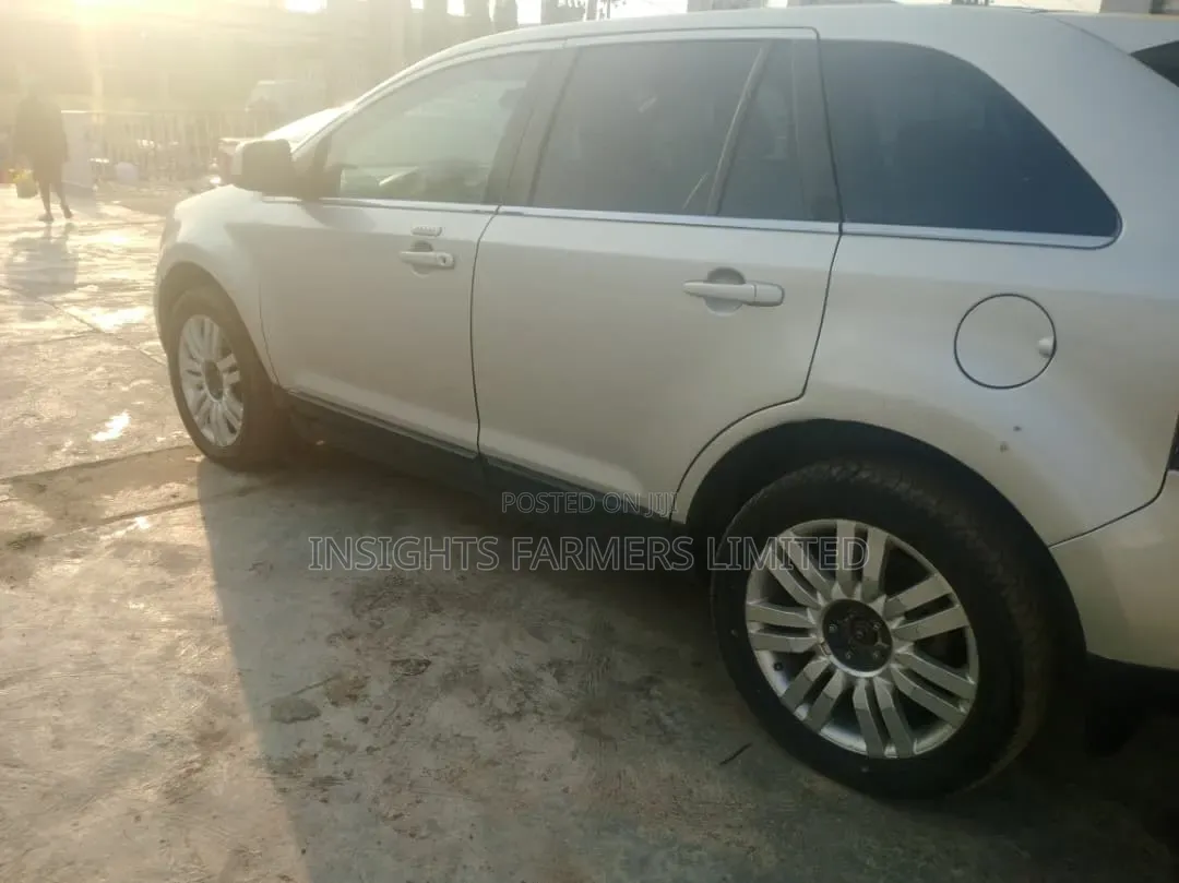 Ford Edge 2008 Silver
