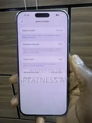 Apple iPhone 15 Pro Max 512 GB Silver