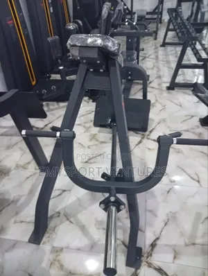 Commercial T-Bar Row