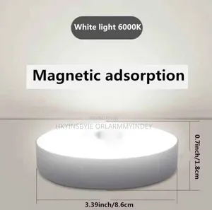 Intelligent Induction Sensor Lamp 2-in-1 White & Warm Light