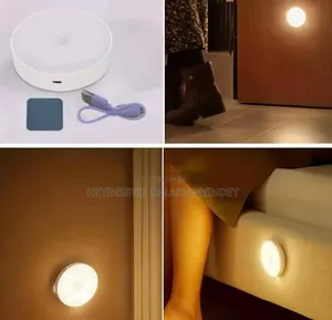 Intelligent Induction Sensor Lamp 2-in-1 White & Warm Light