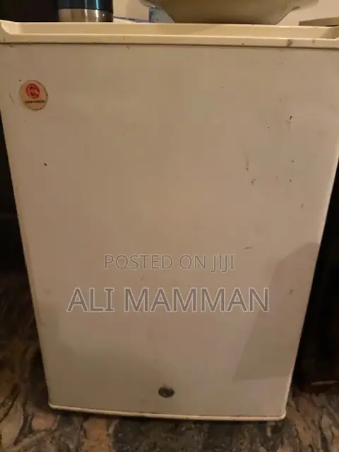 Small Fridge
