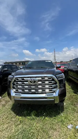 Toyota Tundra 2023 Brown