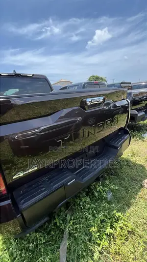 Toyota Tundra 2023 Brown