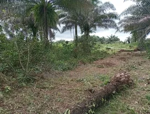 Virgin Land for Sale.