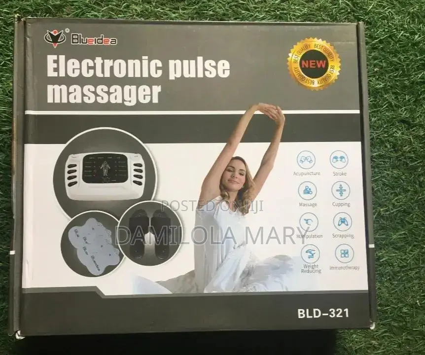 Electronic Pulse Massager