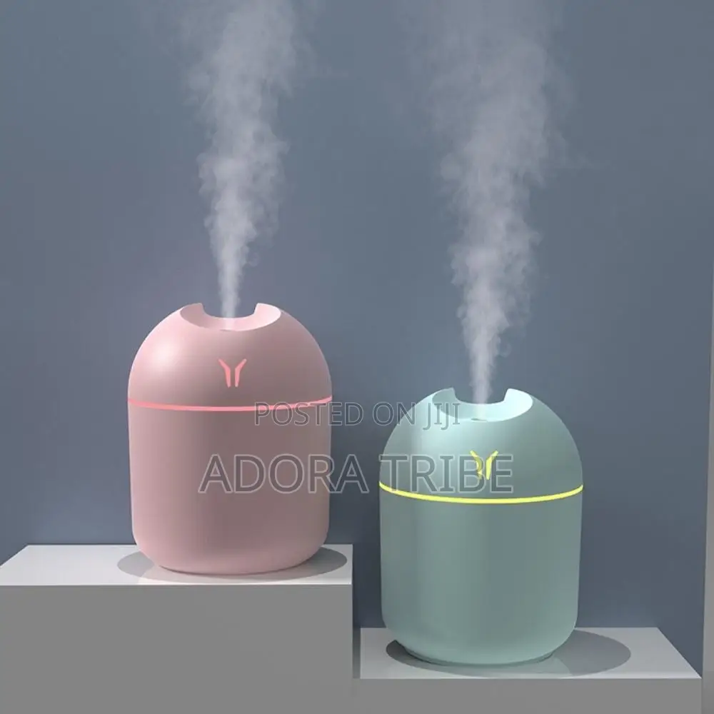 Mini Humidifier