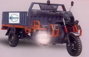New Tricycle 2026 Gray