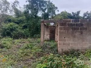 Two Bedroom on a 60 by 100 Land