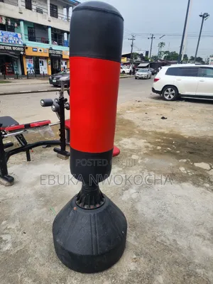 Standing Punching Bag