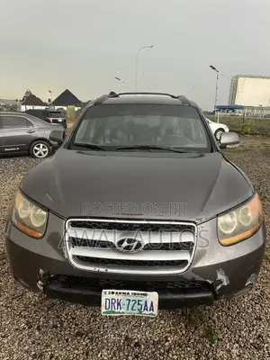 Hyundai Santa Fe 2009