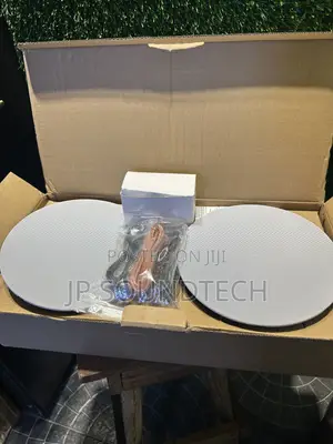 2in 1 Bluetooth Celing Speaker