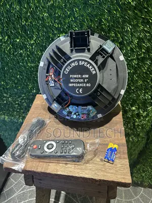 Single Bluetooth Ceiling Speaker