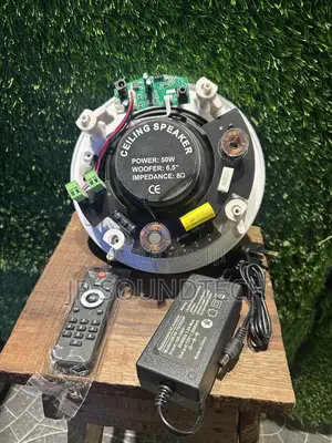 Single Bluetooth Ceiling Speaker With Remote