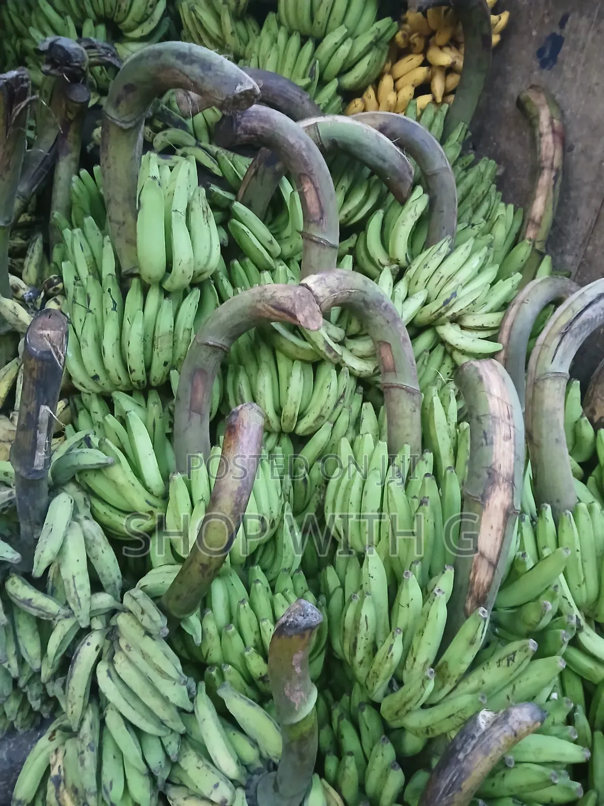 Fresh Banana