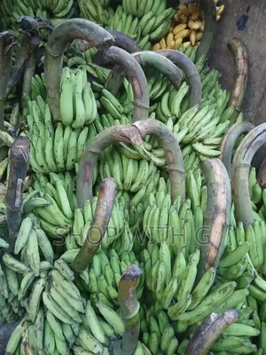 Fresh Banana