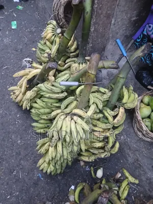 Fresh Banana