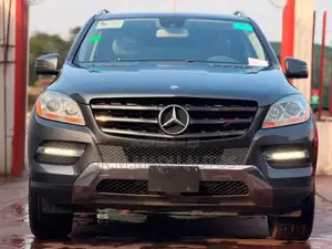 Mercedes-Benz M Class 2013 Gray