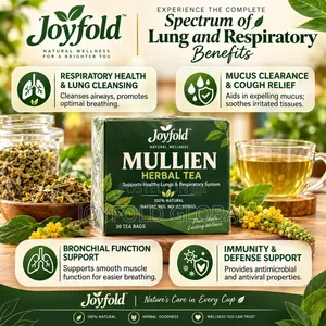 Mullein Herbal Tea- Lung Cleanser and Other Respiratory Issues