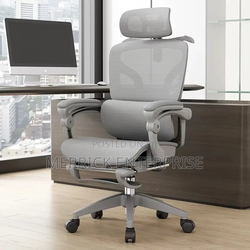 Ergonomic Classic Office Chair