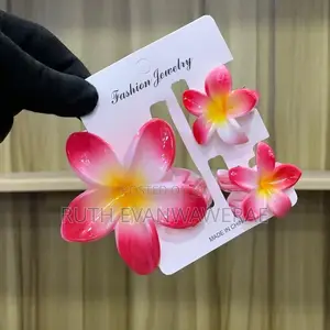 Hair Accessories Claw Clip