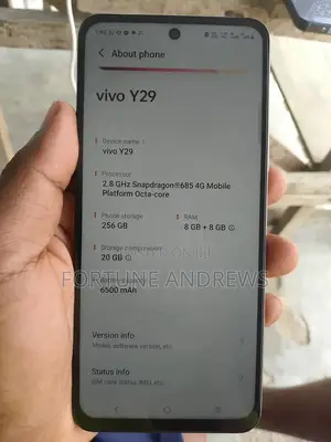 Vivo Y29 256 GB