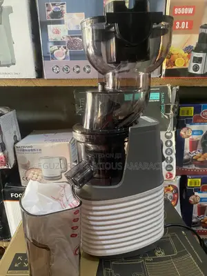 Miui Slow Masticating Juicer Extractor