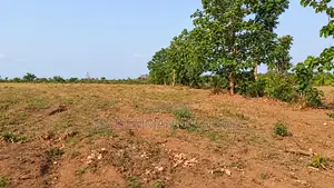 240 Hectares of Granite Rich Land for Sale in Kogi State