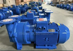 2BV Series Liquid Ring Vacuum Pumps