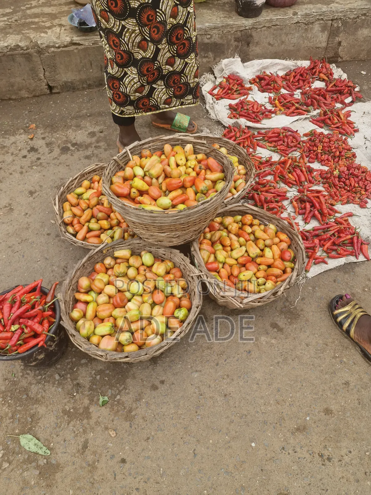 Agronomist