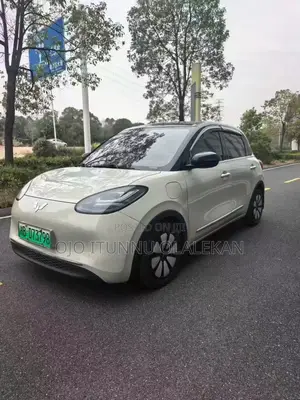 Wuling Bingo 2023 White