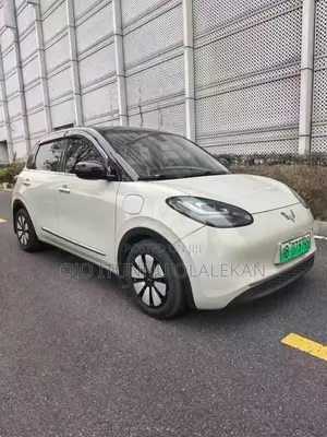 Wuling Bingo 2023 White