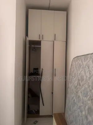 Standing Wradrobe for Room