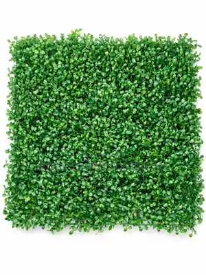 Fence/Wall Mat