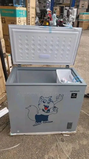 Skyrun 250 L Inverter Freezer