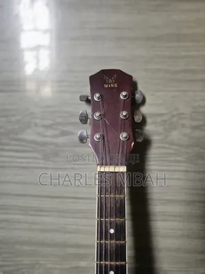 Wing Semi Acoustic Guitar for Sale
