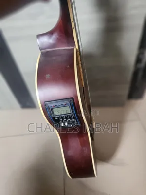 Wing Semi Acoustic Guitar for Sale
