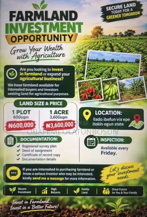 Promo!! Per Acre of Land at Ibefun Itokin Ogun State Farming Now