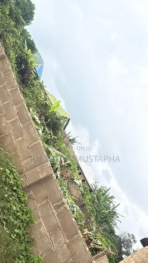 Land for Sale at Idi-Iroko Village, Olodo Road, Ibadan – 362.877sqm